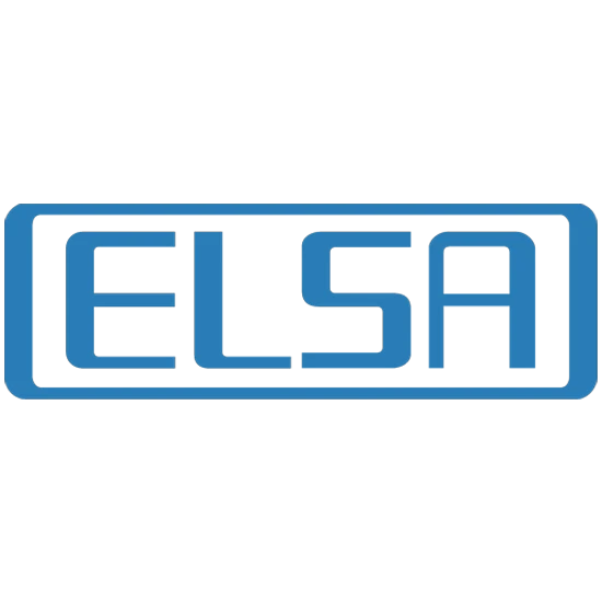 Elsa
