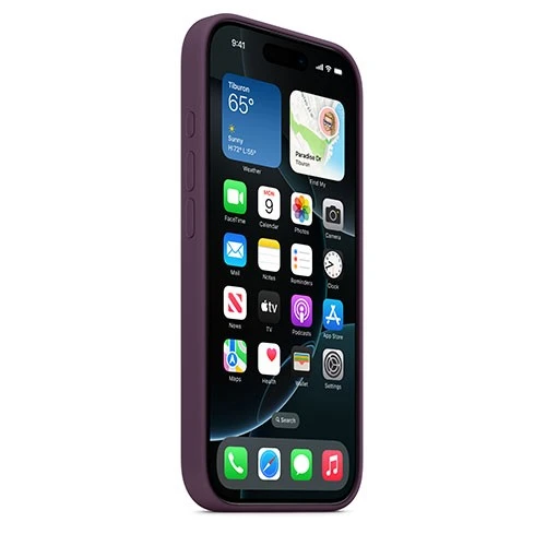 iPhone 16 Pro Silicone Case (3)