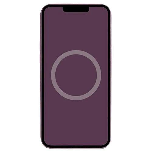 iPhone 16 Pro Silicone Case (4)