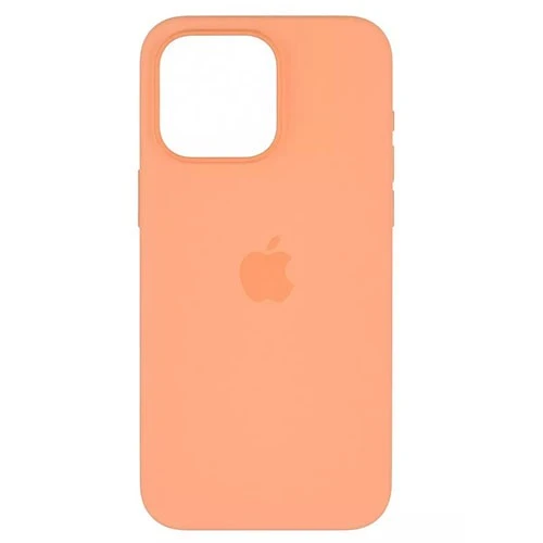 Silicone Case with MagSafe (1)
