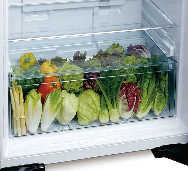 Hitachi Refrigerator HRTN7489DF (9)