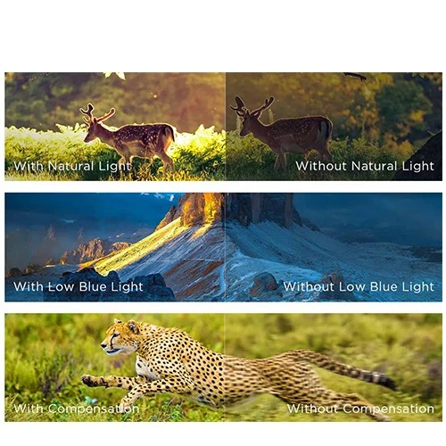 تلفزيون تي سي إل T6D بريميوم QLED - شاشة QLED وHVA - معدل تحديث 60 هرتز ودقة 4K UHD - يدعم تقنيتي دولبي فيجن ودولبي أتموس - يعمل بنظام غوغل TV - وضع كيم ماستر - أسود (6937574857225) - image 9 تلفزيون تي سي إل T6D بريميوم QLED - شاشة QLED وHVA - معدل تحديث 60 هرتز ودقة 4K UHD - يدعم تقنيتي دولبي فيجن ودولبي أتموس - يعمل بنظام غوغل TV - وضع كيم ماستر - أسود (6937574857225) - image 9