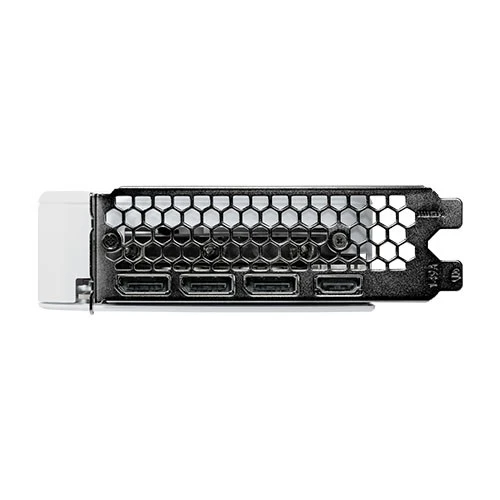 Palit GeForce RTX 5060 (10)