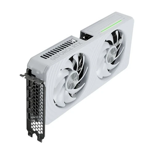Palit GeForce RTX 5060 (1)