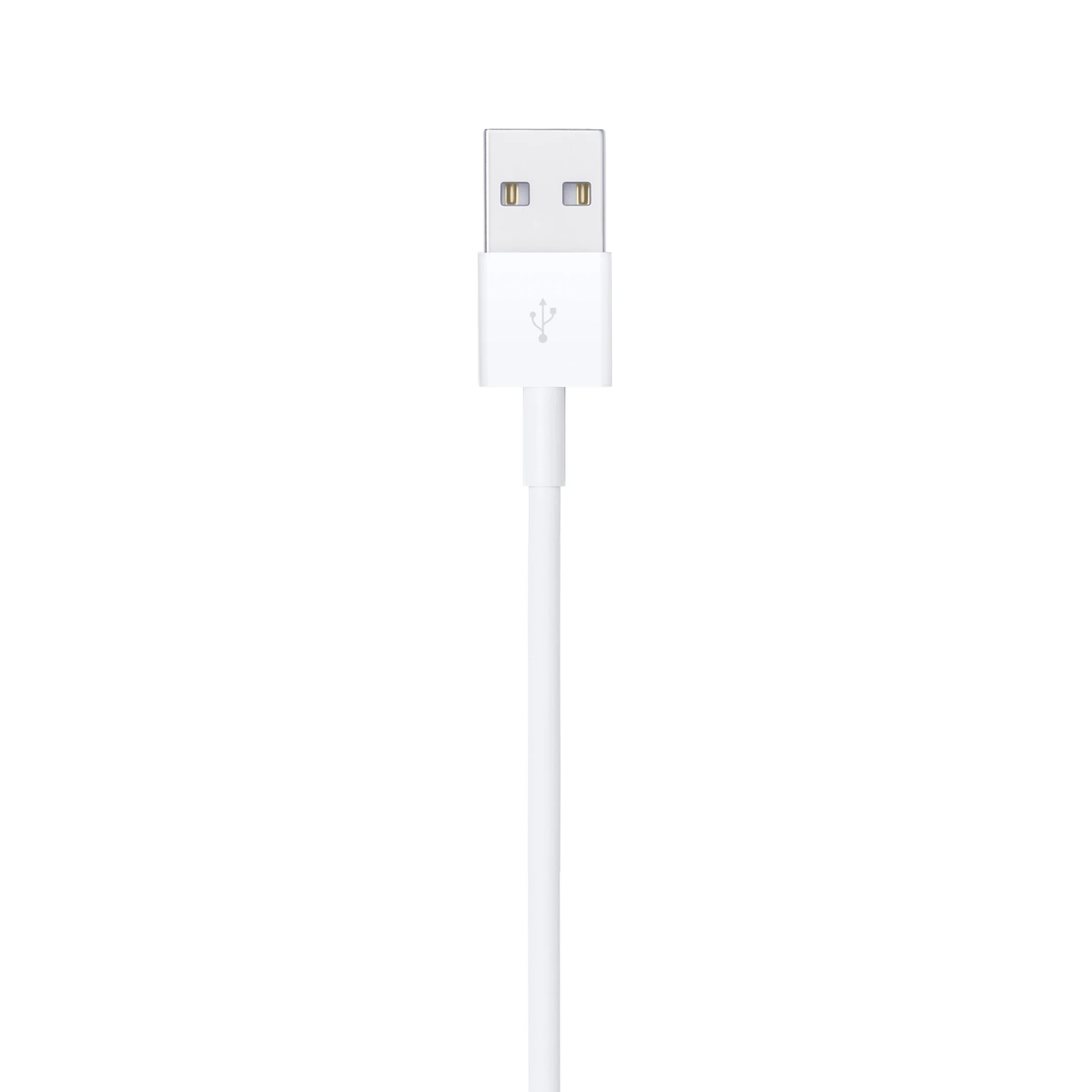 Apple Lightning to Usb Cable (3)