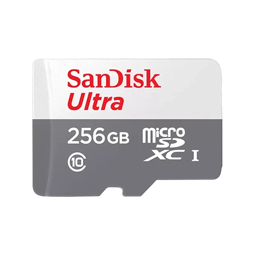 MicroSDXC 256