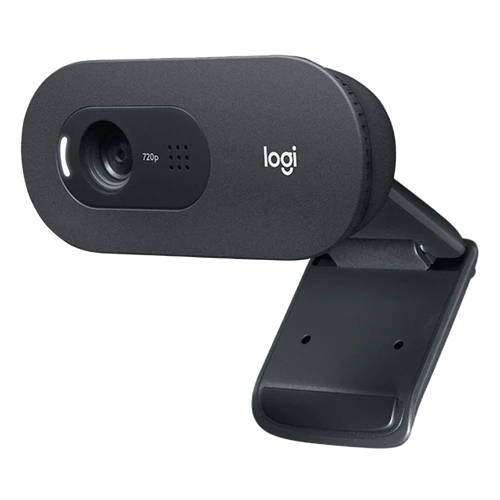 Logitech C505e (1)